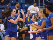 sports.volleyball2